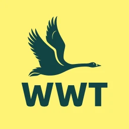 WWT Washington 图标